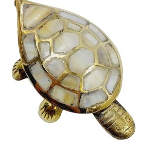 Wish Fulfilling Tortoise