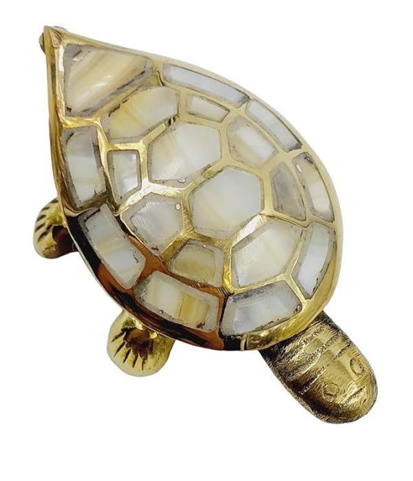 Wish Fulfilling Tortoise