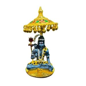 Shicshankar Car idol